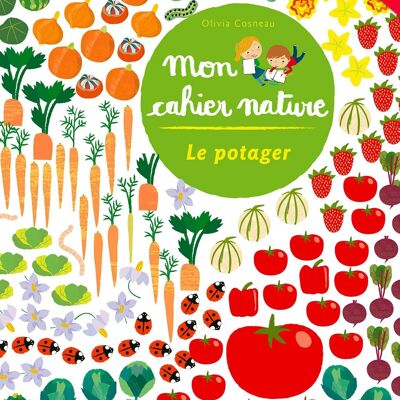 The vegetable garden