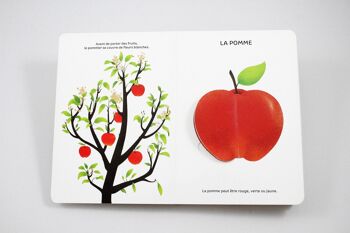 Fruits de saison 5