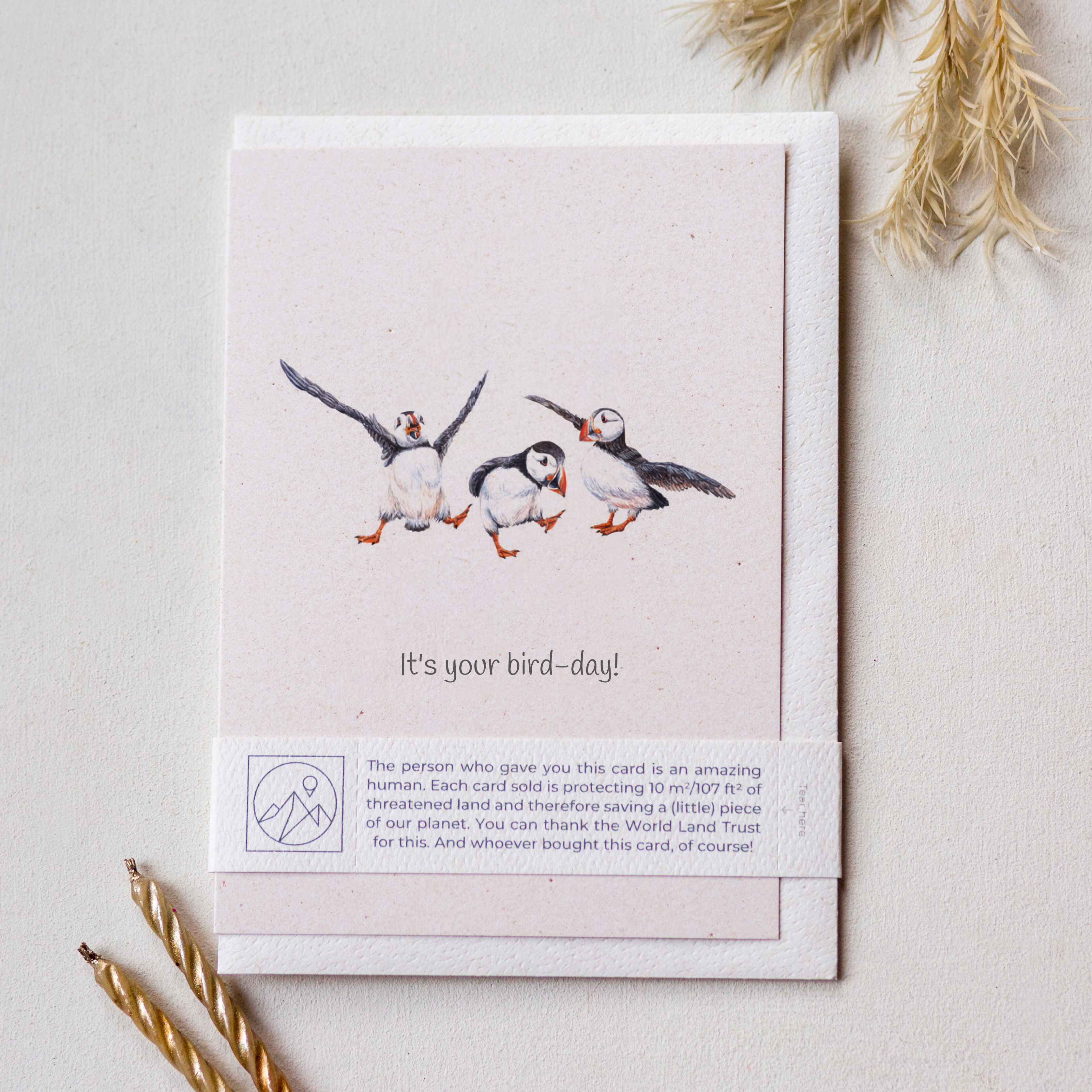 Cute Puffins Dancing Birthday Card