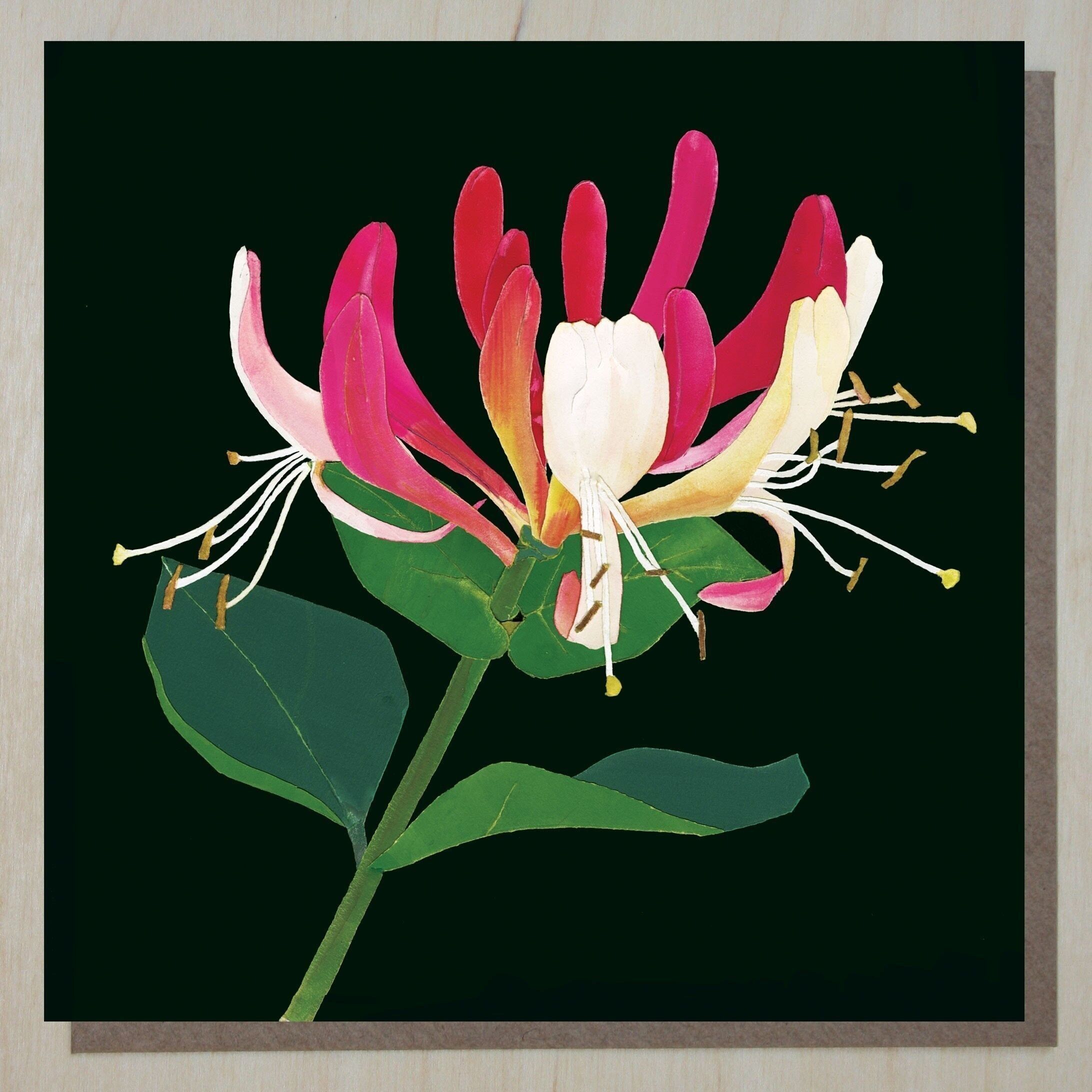 WND290 Geißblatt (Blumenkarte)