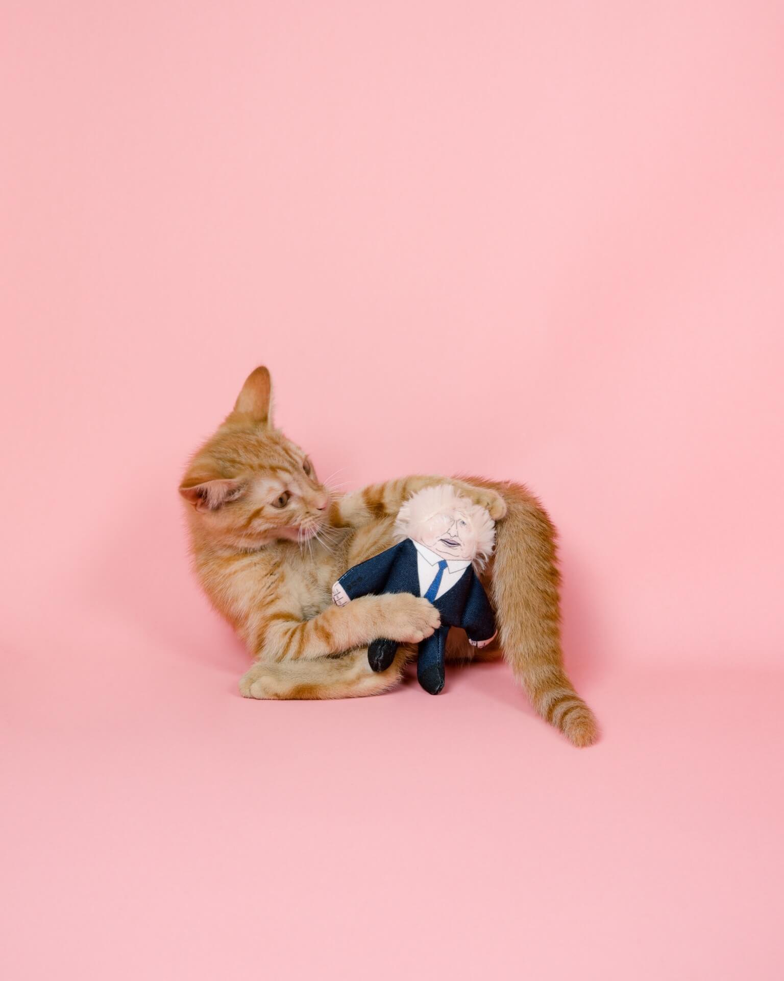 Jouet pour chat Boris Johnson
