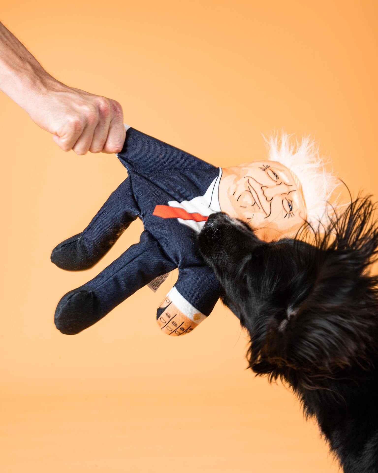 Giocattolo per cani di Donald Trump