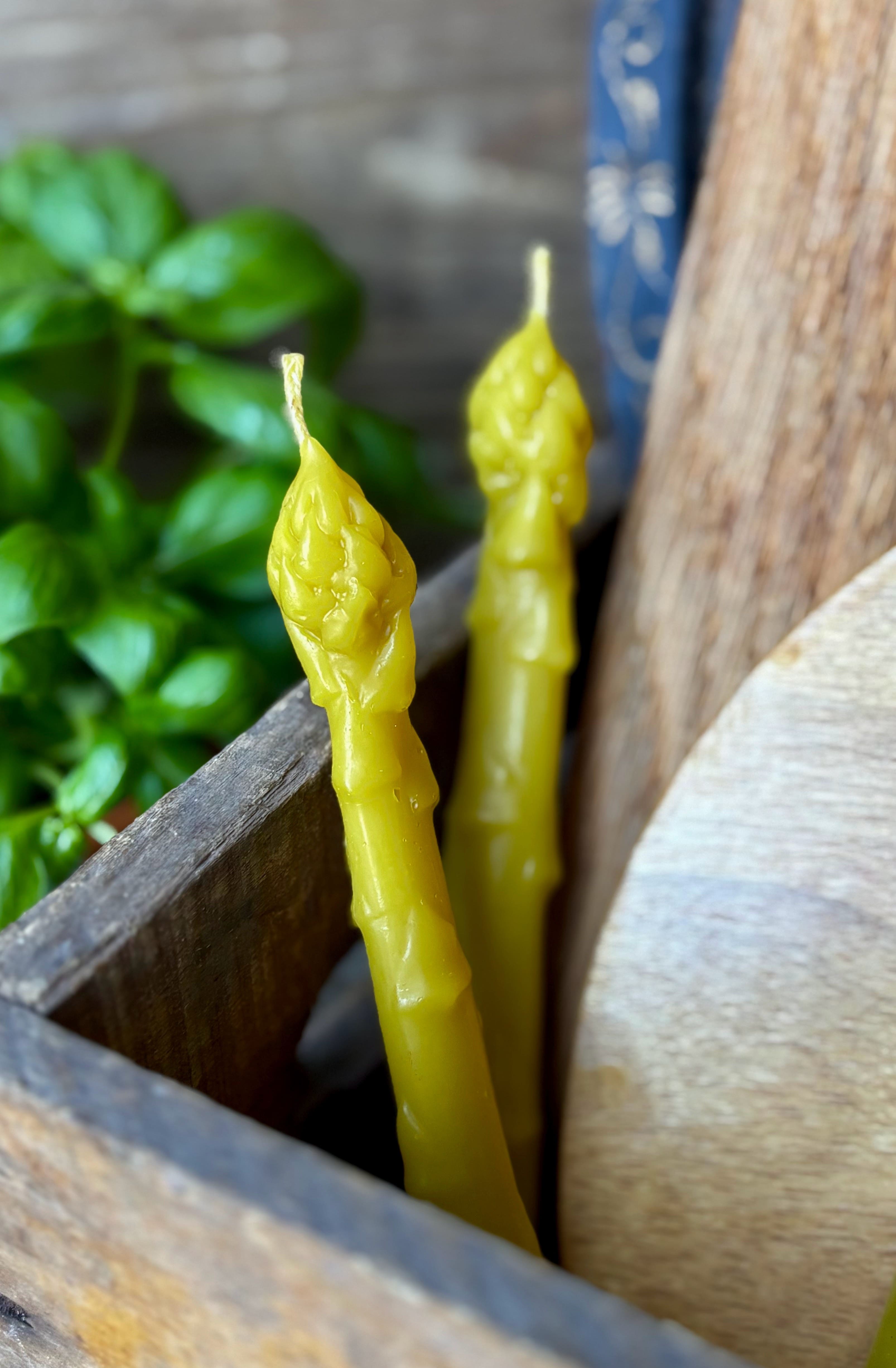 Beeswax Asparagus Candle