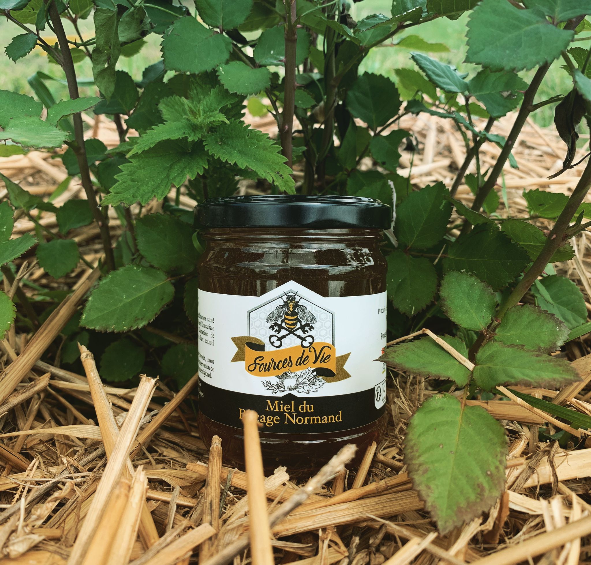 Organic Summer Honey