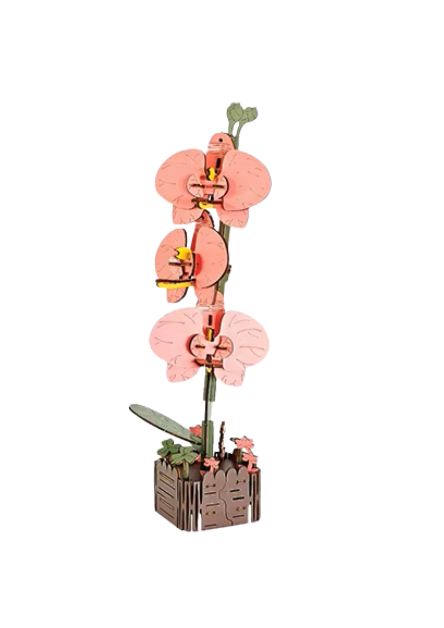 Caja Inspire, Flor 3D, Orquídea Mariposa JM-009, 16,5 x 1 x 24,4 cm