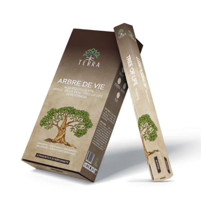 Encens Terra Sans Charbon Hexa - Arbre de Vie 30g