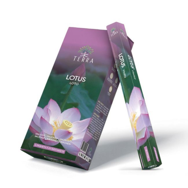 Encens Terra Sans Charbon Hexa - Lotus 30g