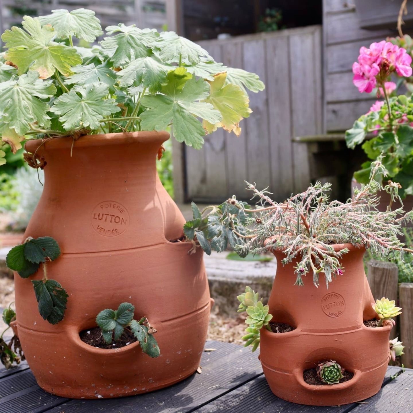 plant pot on pedestal Presley Pedestal Planter