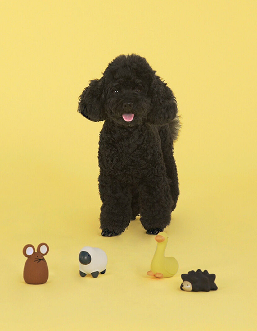 Happy Farm Latexspielzeug für Hunde und Katzen