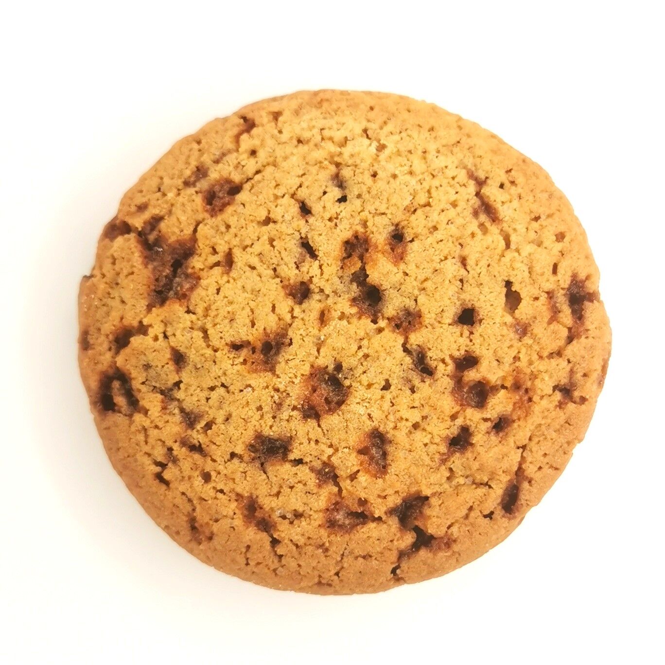 Mini Caramel Cookies in a tray - 50g