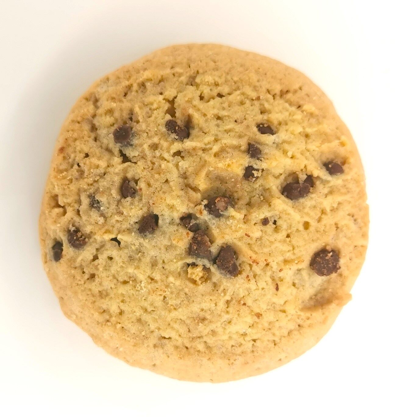 Mini Plain Chocolate Chip Cookies in a tray - 50g