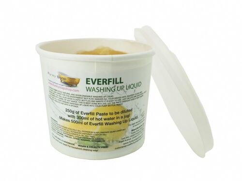 Everfill Washing Up Liquid, Refill 250g