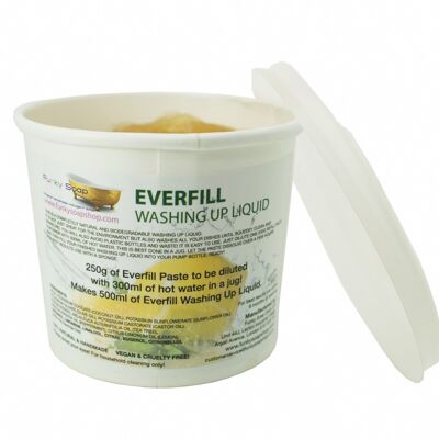 Everfill detersivo per piatti, ricarica 250 g