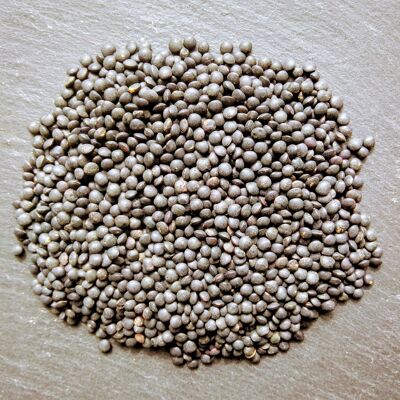 vrac lentilles beluga 1 kg