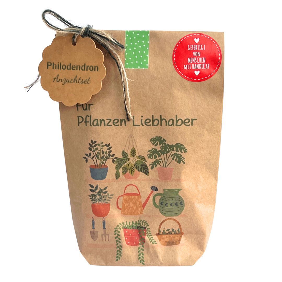 Plant Lovers Gift Bag