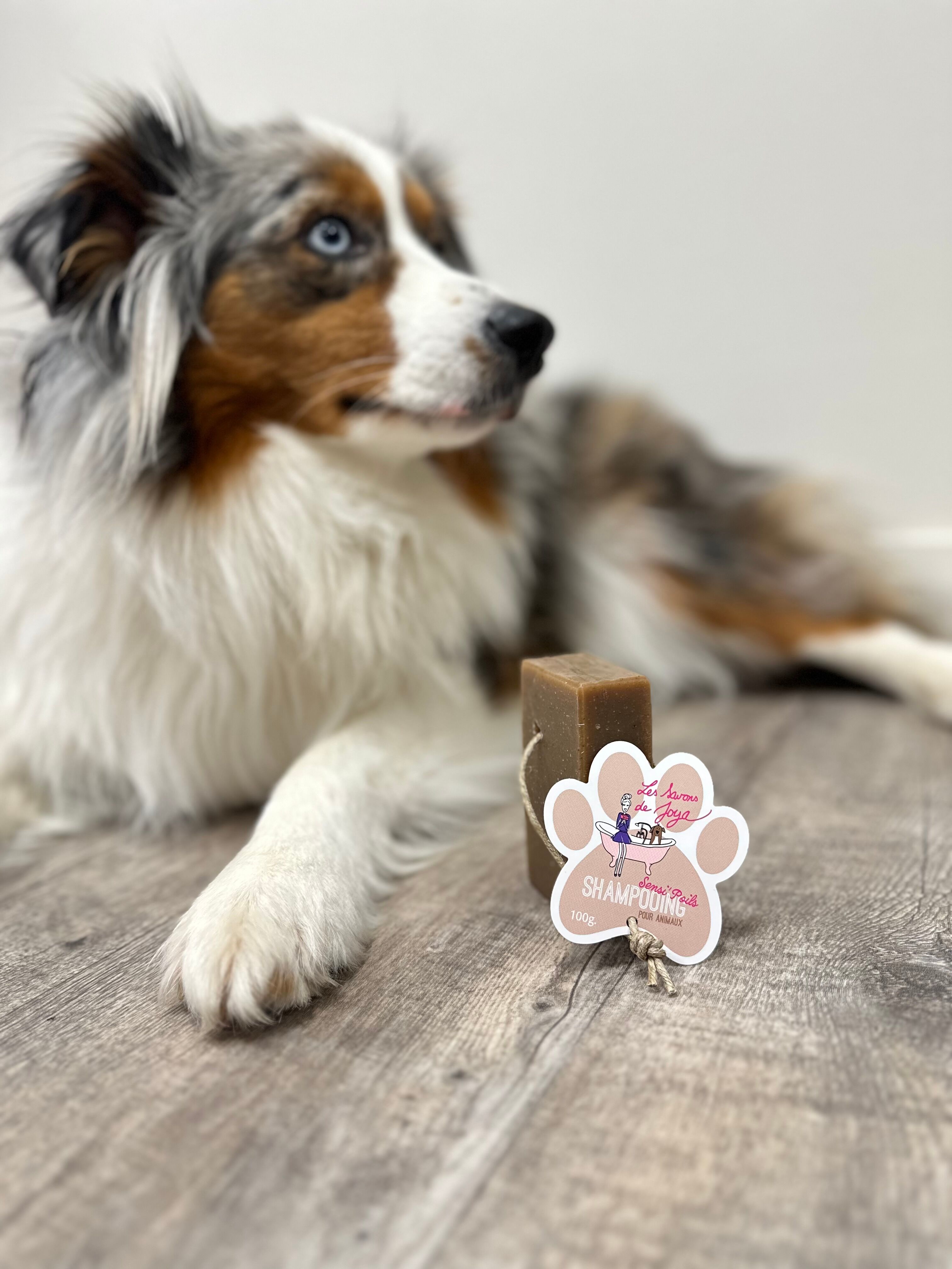 Sensi'poils - Solid shampoo for dogs with sensitive skin