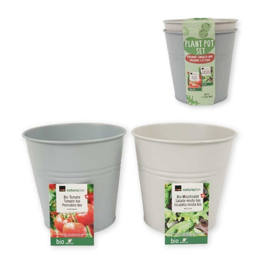 Organic Tomato and Lettuce Bucket Growing Kit