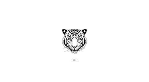 Tatouage éphémère : Tigre
