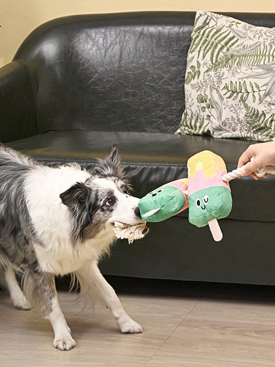 Dog toy - Beach Daze - Twin Pop - HugSmart