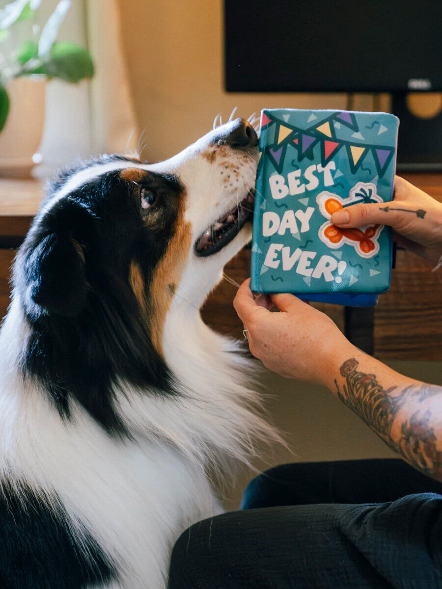 Juguete para perros - Animales de fiesta - Tarjeta de cumpleaños - Juego para mascotas