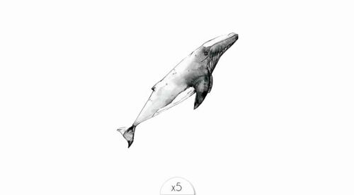 Tatouage éphémère : Baleine
