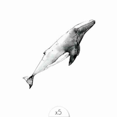 Tatouage éphémère : Baleine