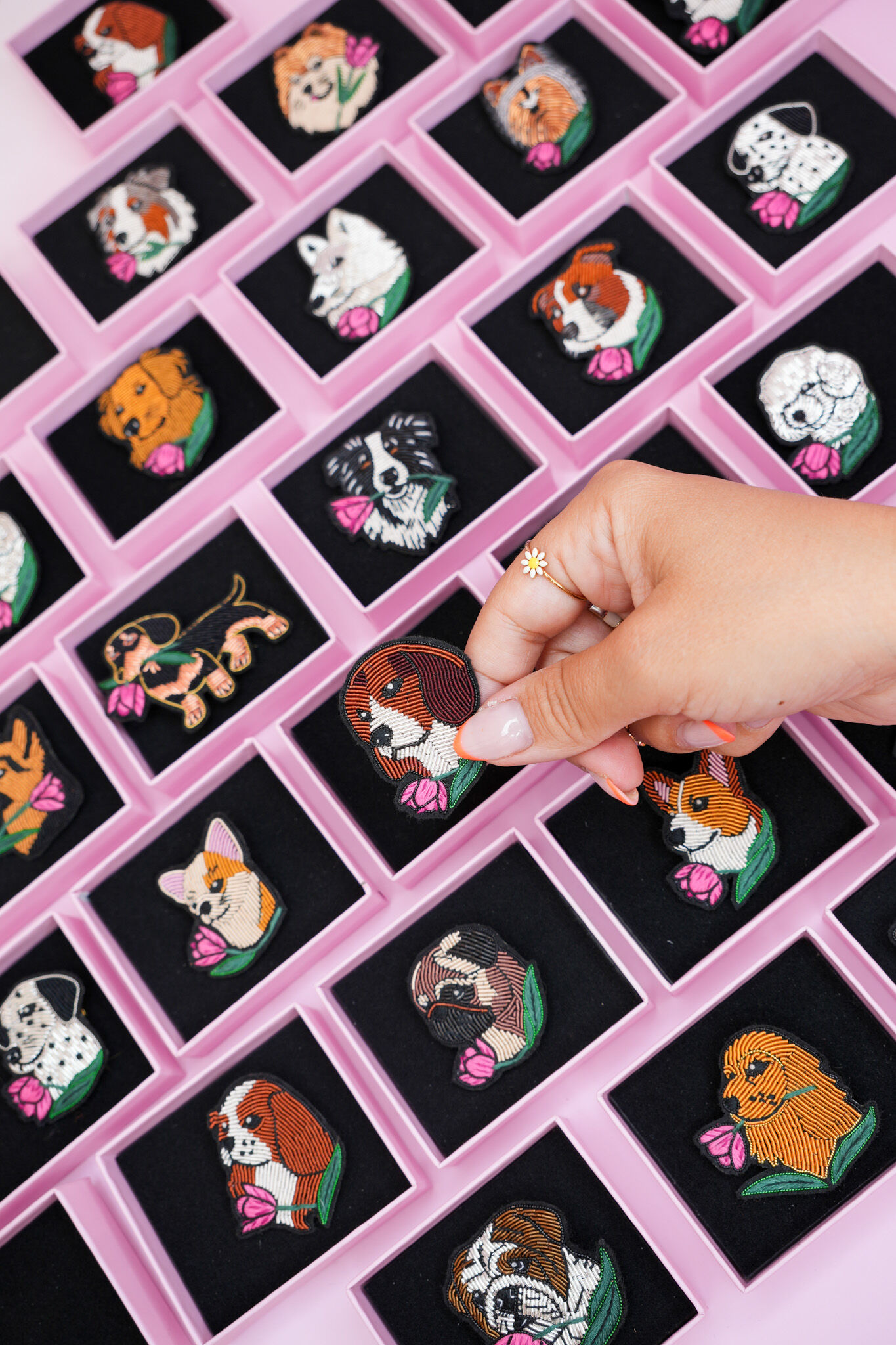 Lot complet – Collection 19 Broches Chiens