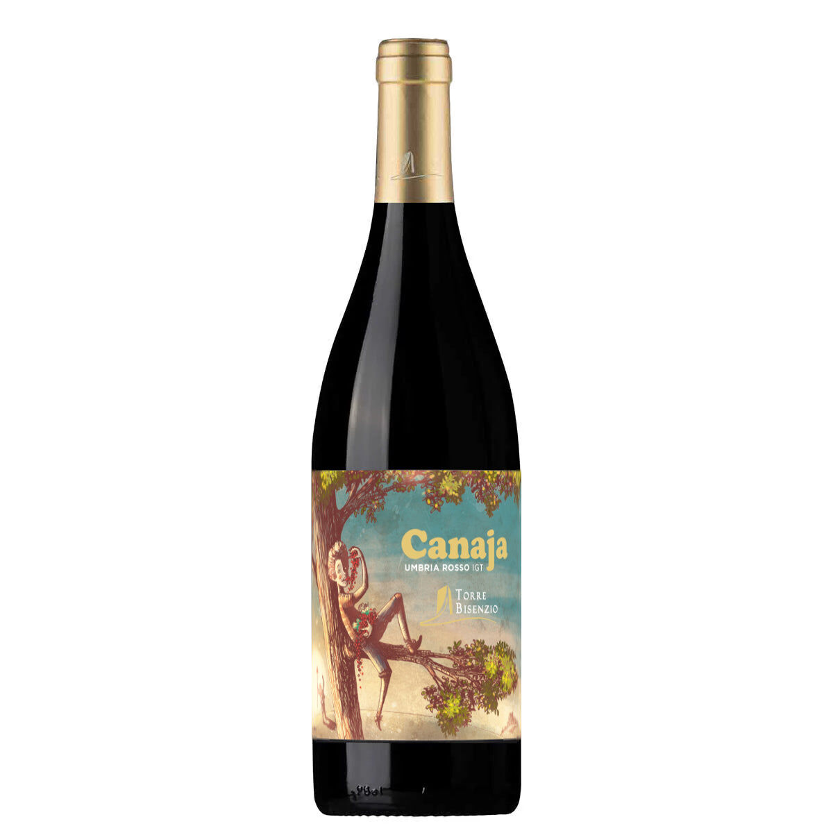 TORRE BISENZIO - CANAJA 2024 - Organic Red Wine | 13% ABV