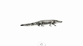 Tatouage éphémère : Crocodile 1