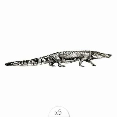 Tatouage éphémère : Crocodile