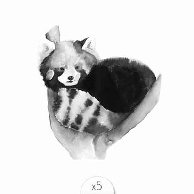 Temporary tattoo: red panda