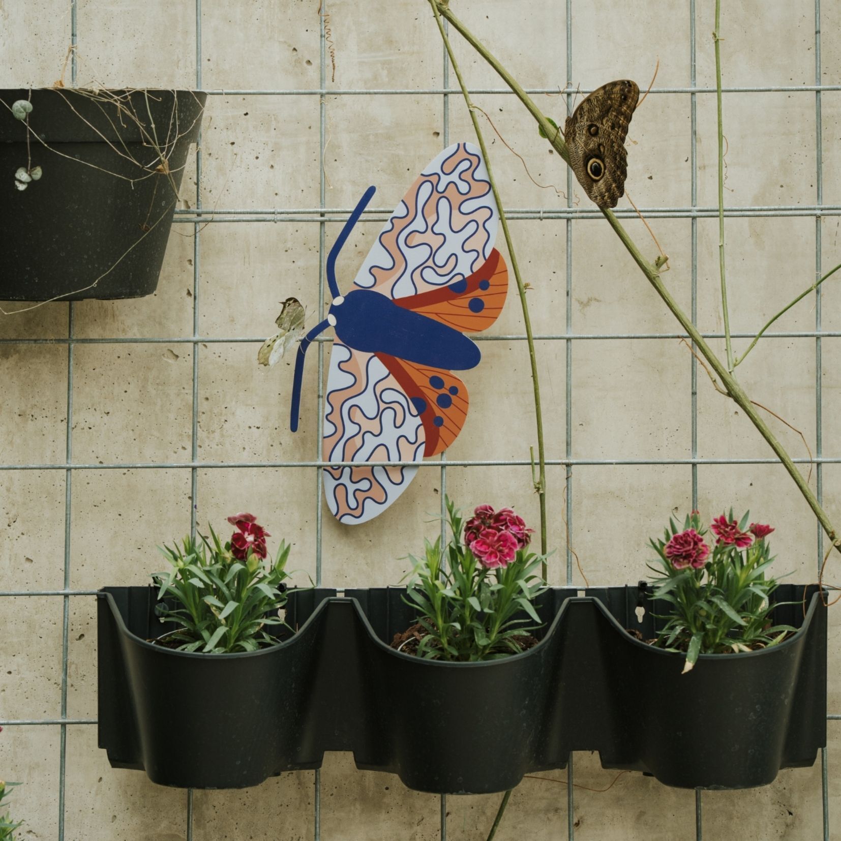 Falena Ornete - decorazione d'interni in legno a forma di farfalla