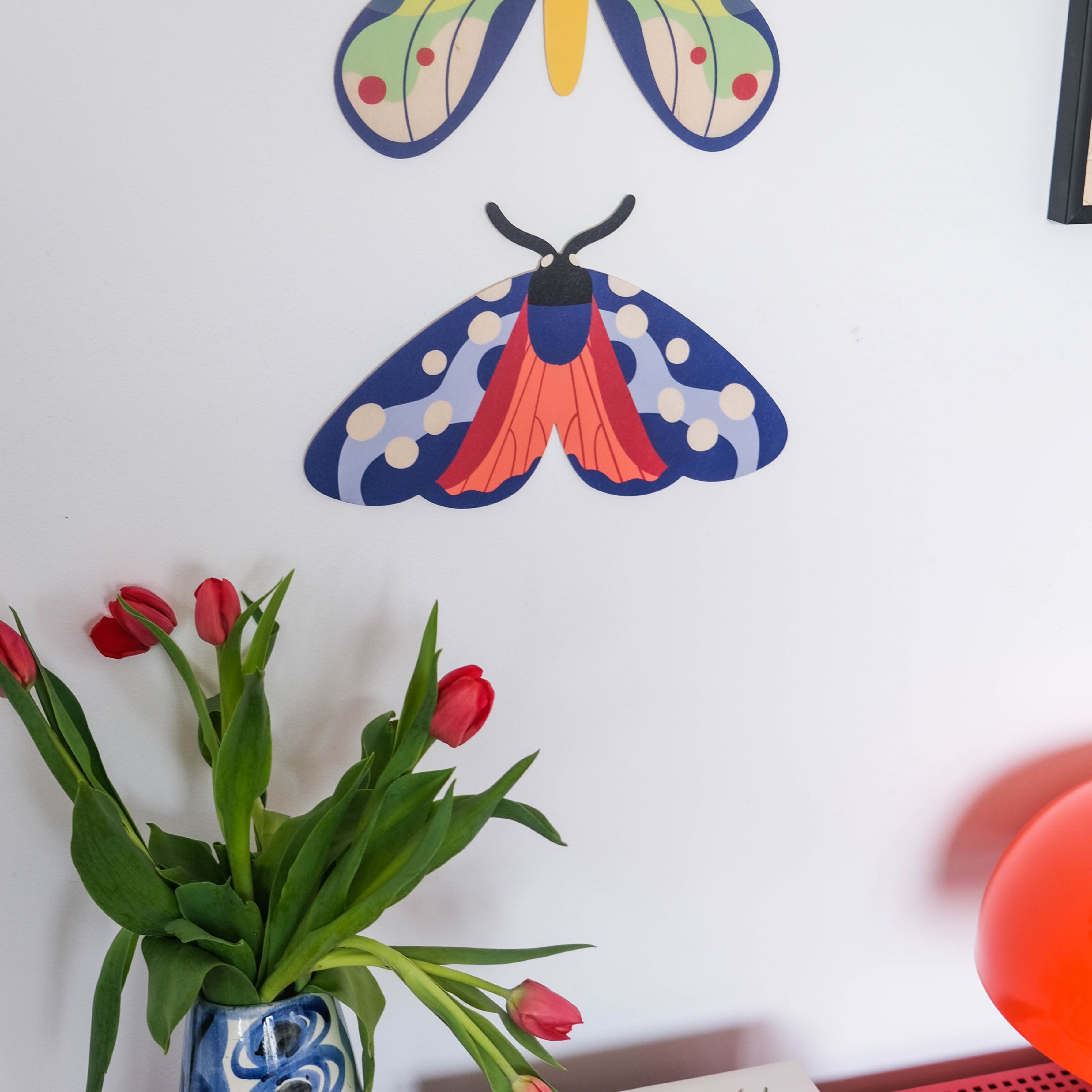 Scleronella a sei punti - decorazione murale con farfalle