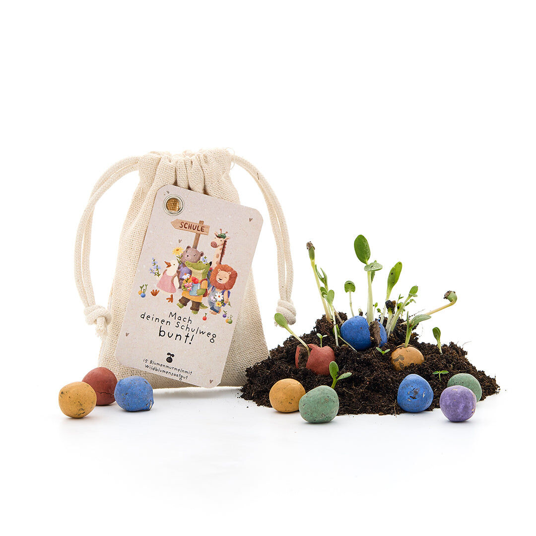 Back-to-School, 15 seed balls in a cotton bag