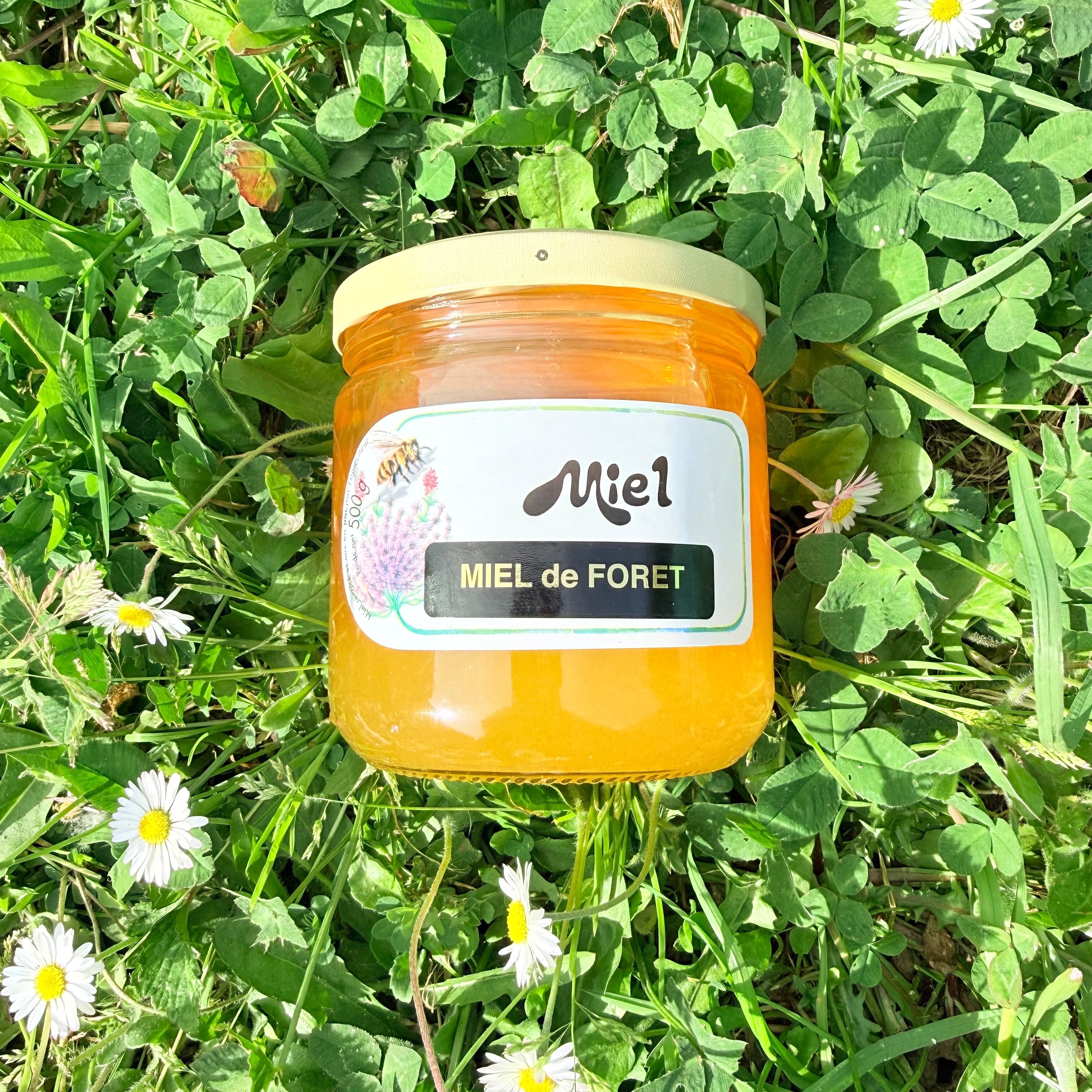 FOREST HONEY 500g