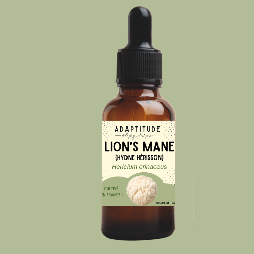 Lion's Mane extract (50ml)