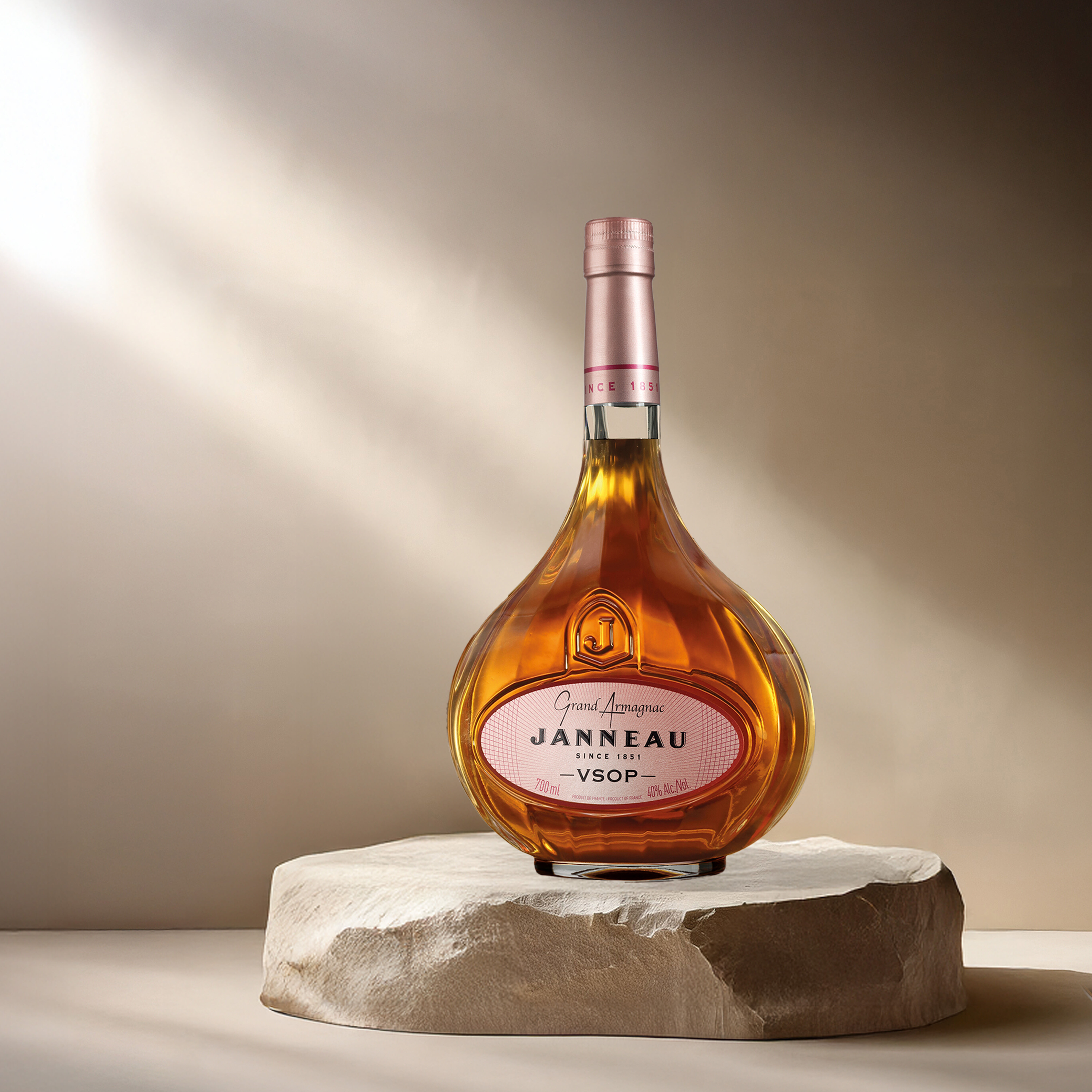 Buy wholesale GRAND ARMAGNAC Janneau - XO