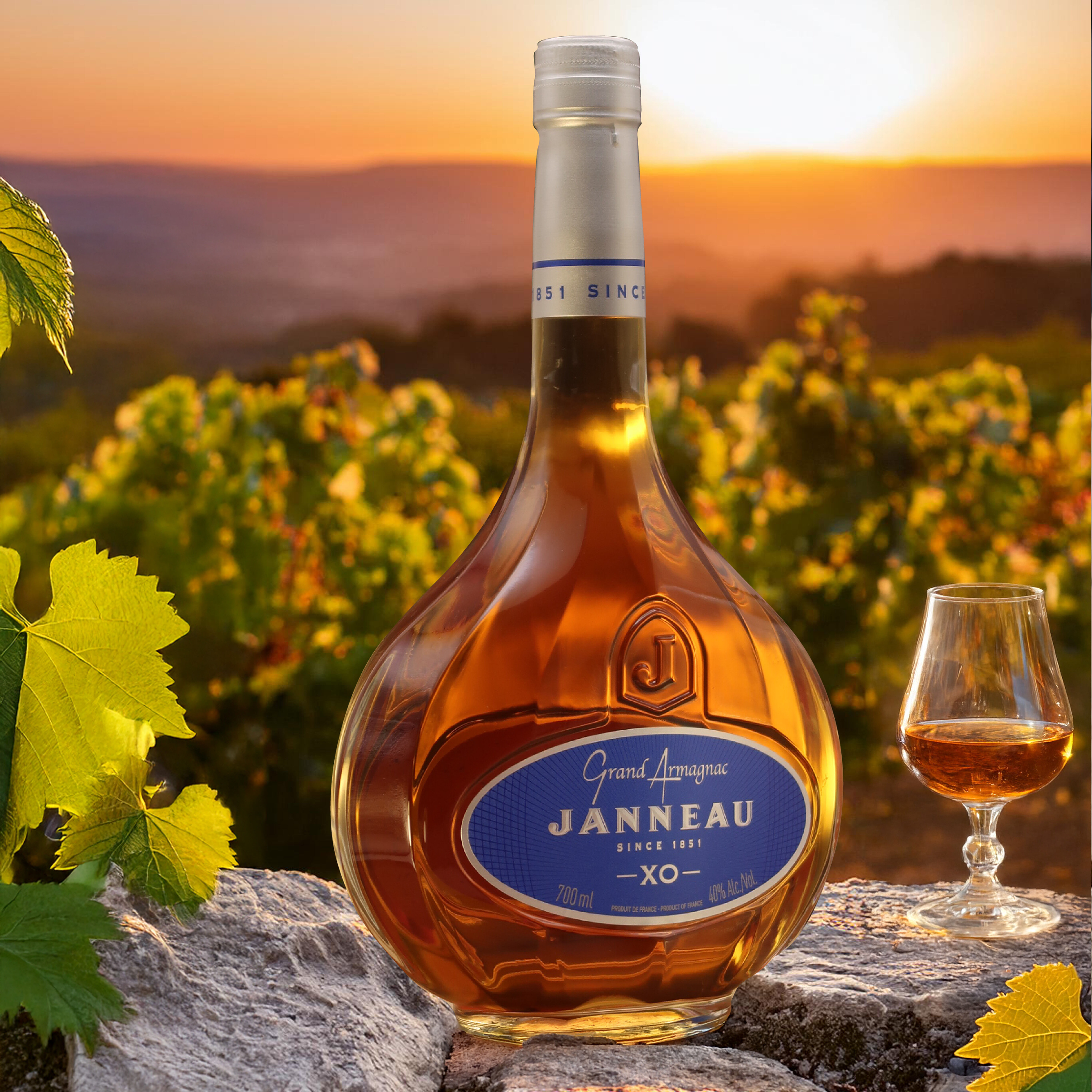Buy wholesale GRAND ARMAGNAC Janneau - XO