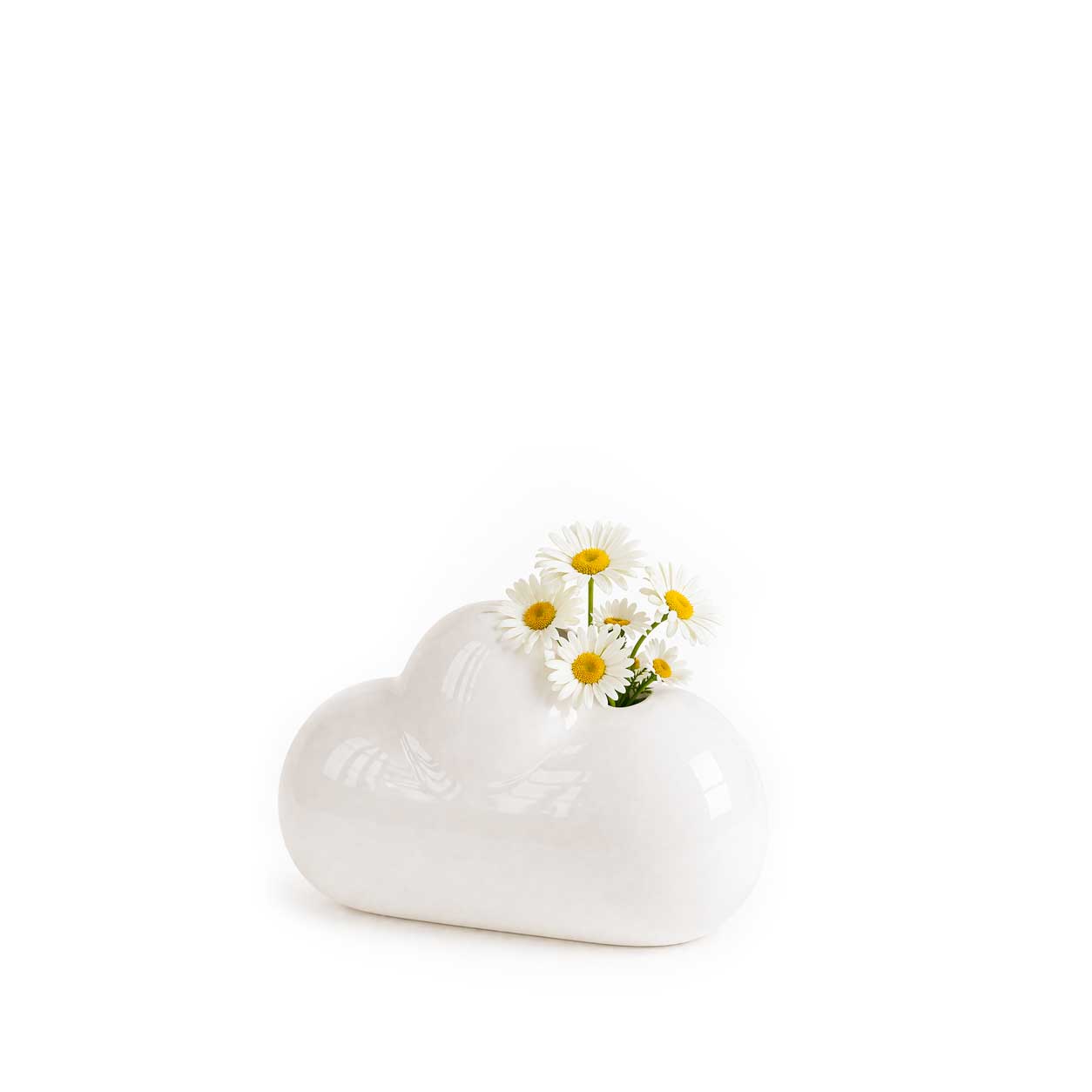 Small Cloud Vase