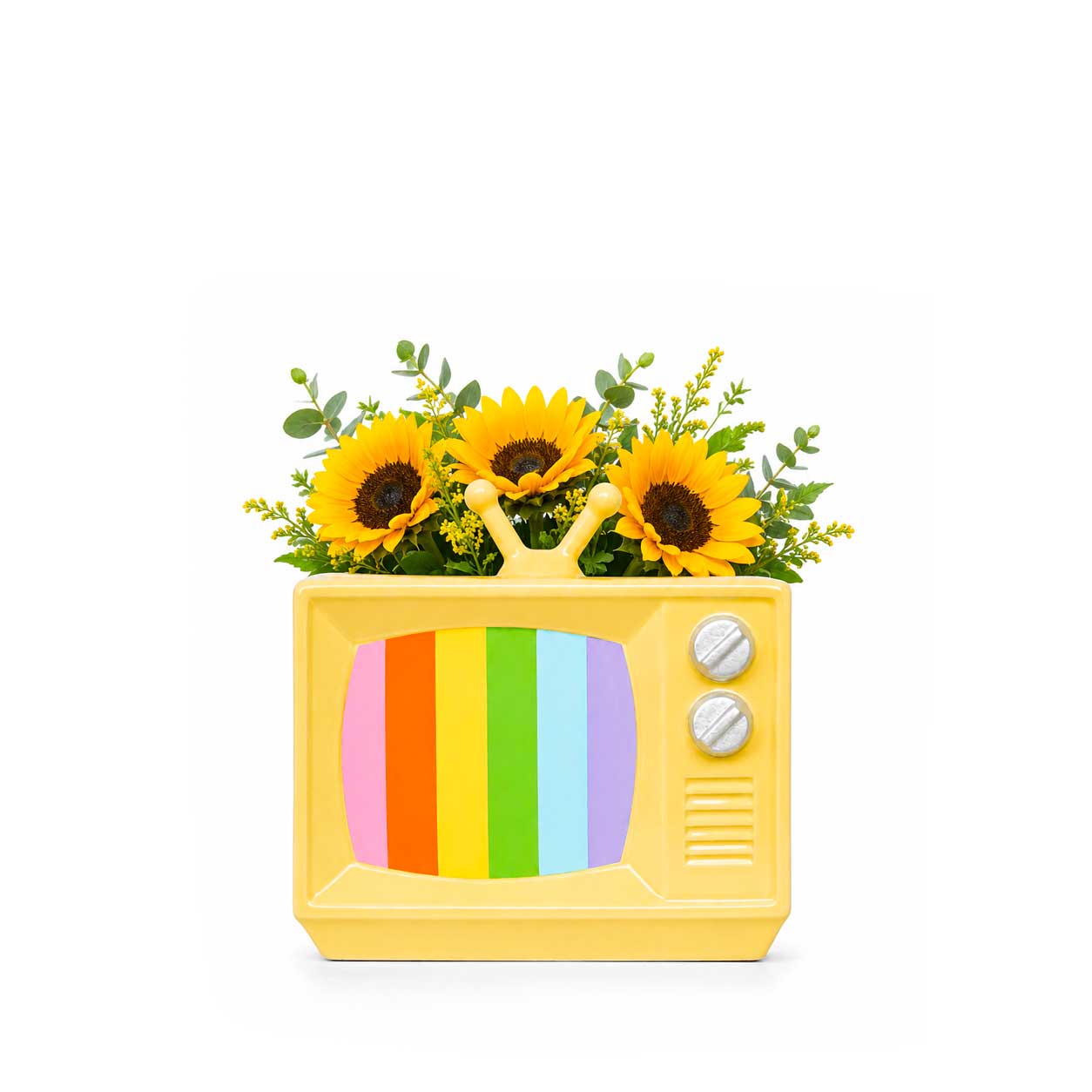 Vase TV