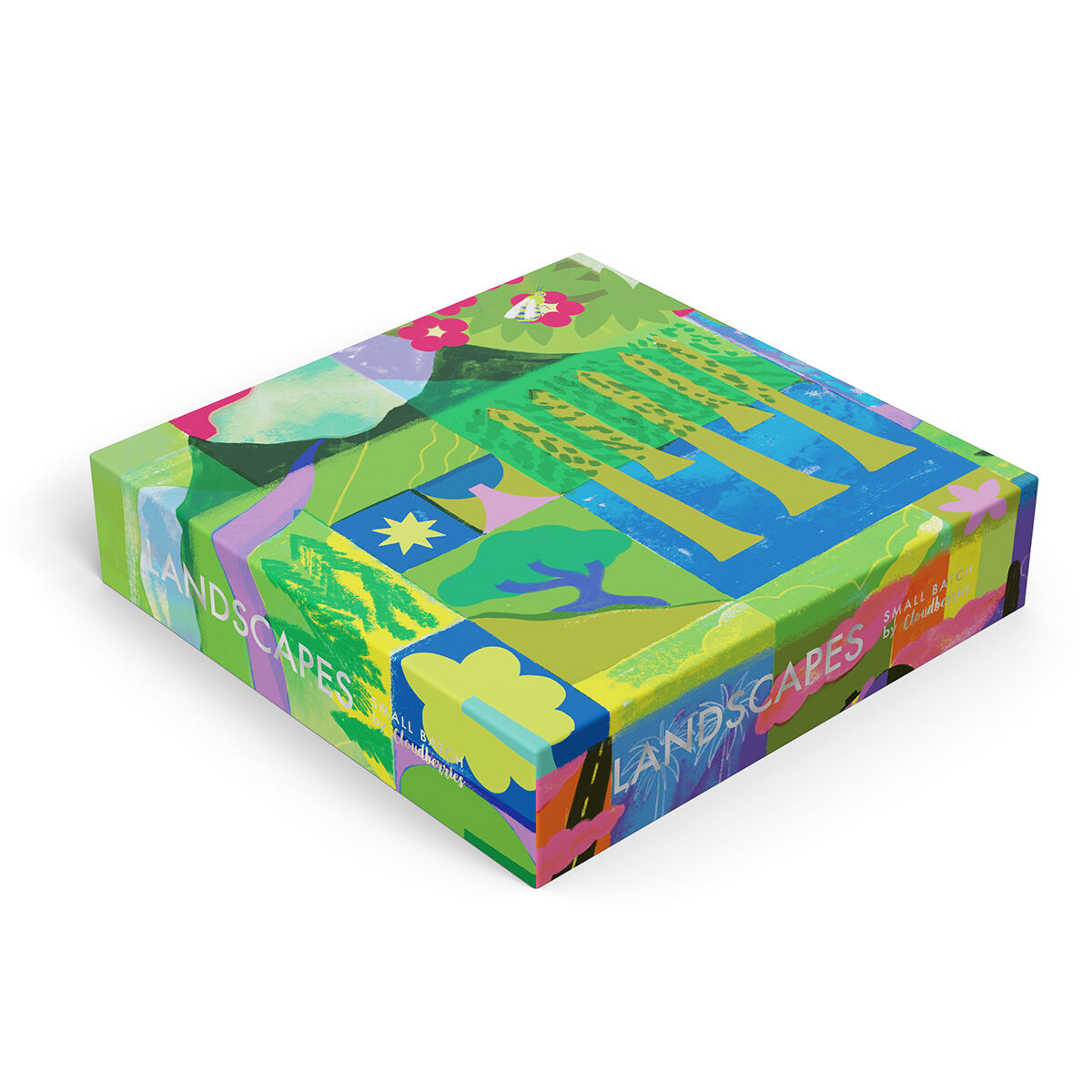 Puzzle de 1000 pièces Paysages (Petit lot)