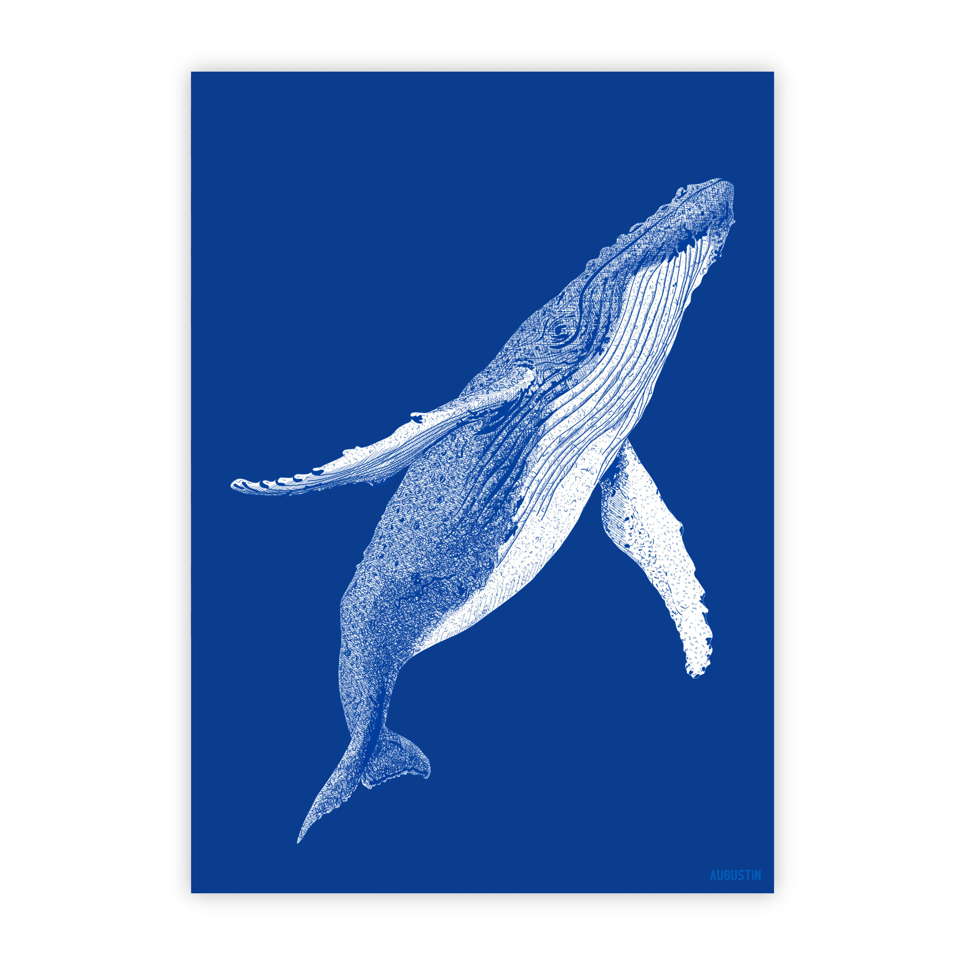 The ocean - postcard