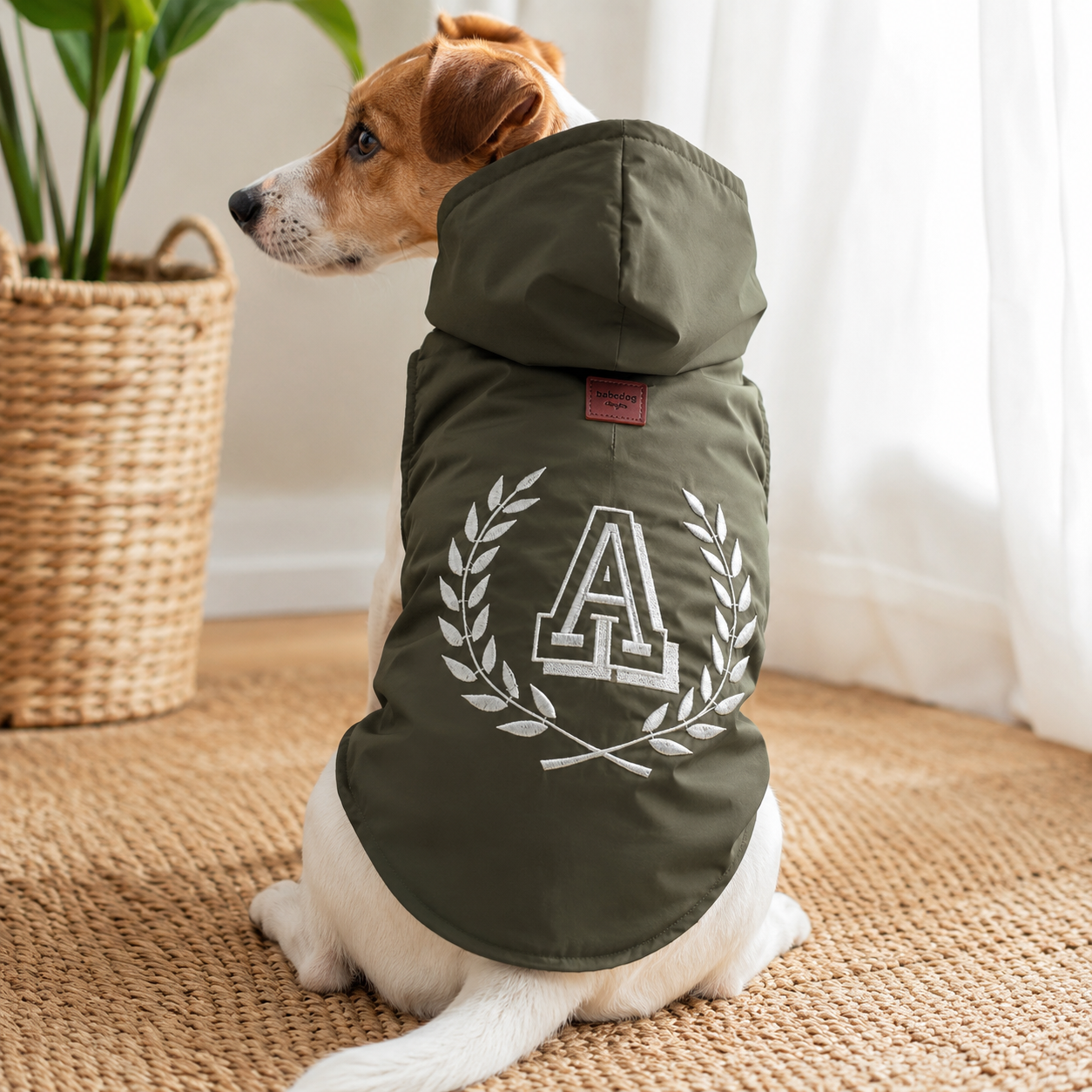Alpha Dog – Wasserdichte Hundejacke Alpha Green (5-teiliges Set)