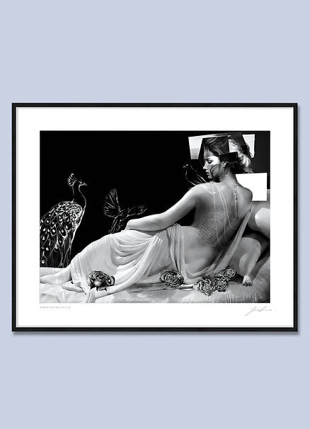 PREMIUM VENUS VITRIX