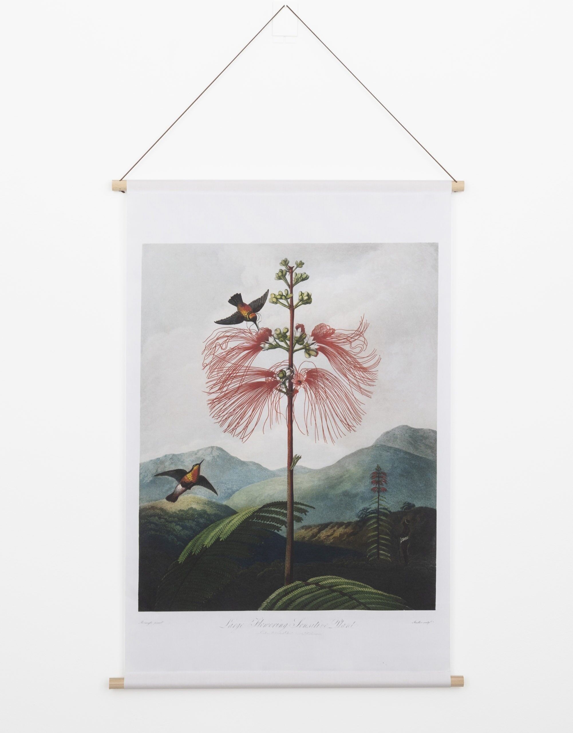 Affiche textile Temple de Flore – Tissu mural