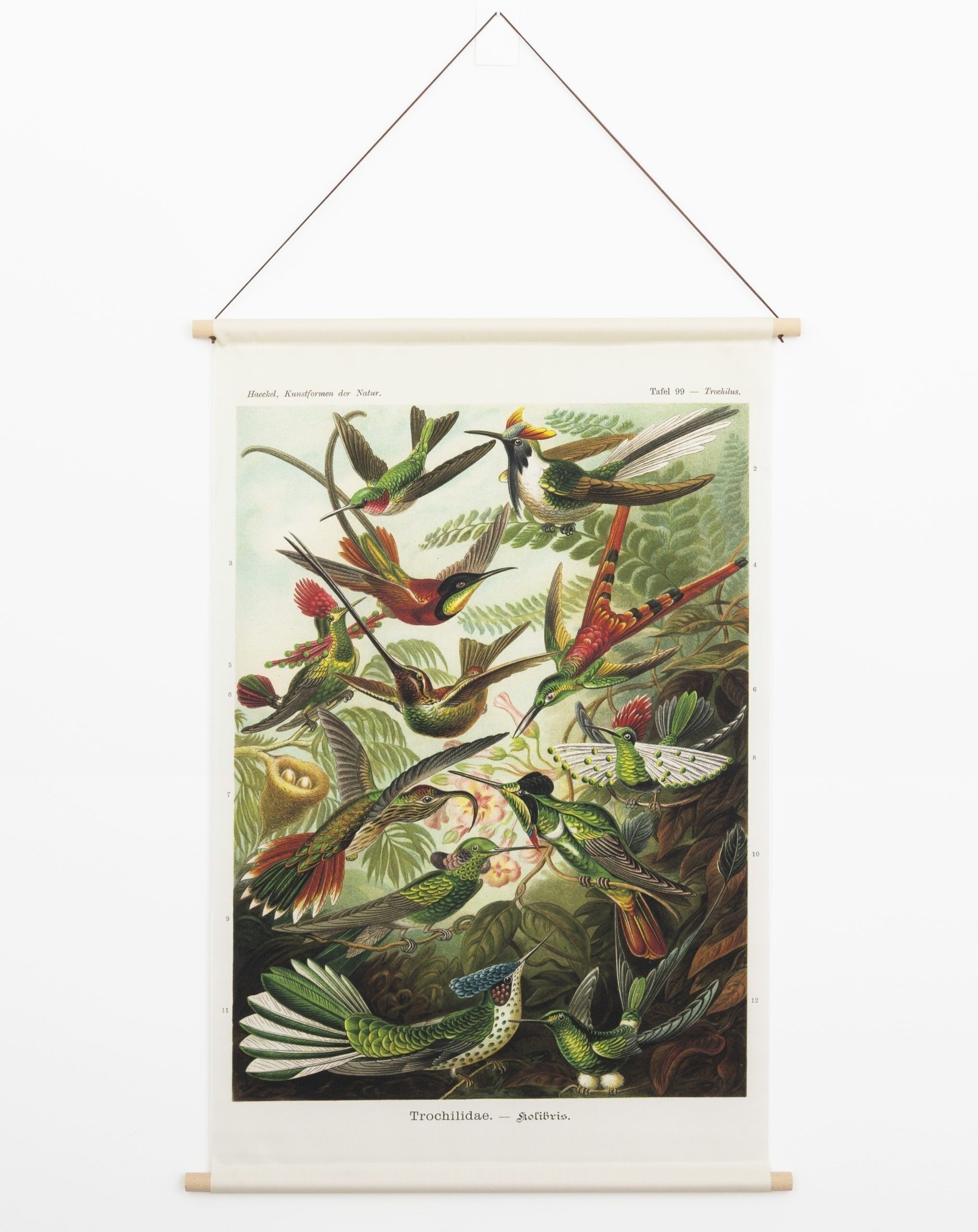 Affiche textile Colibris – Toile murale