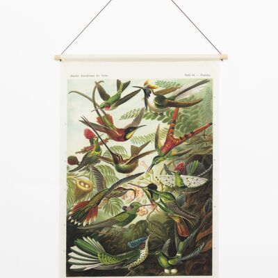 Textielposter Kolibries – Wanddoek