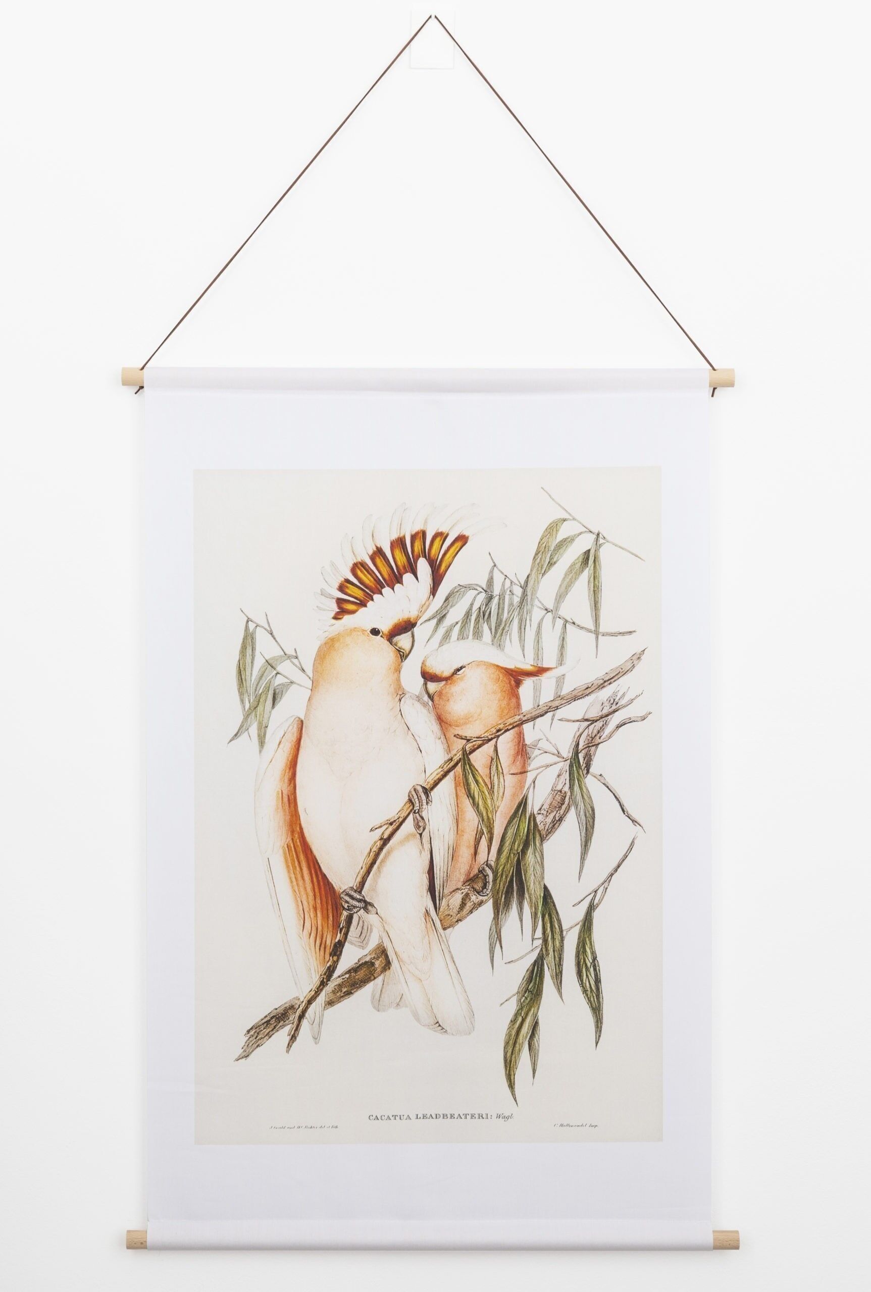 Affiche textile Cacatoès – Toile murale