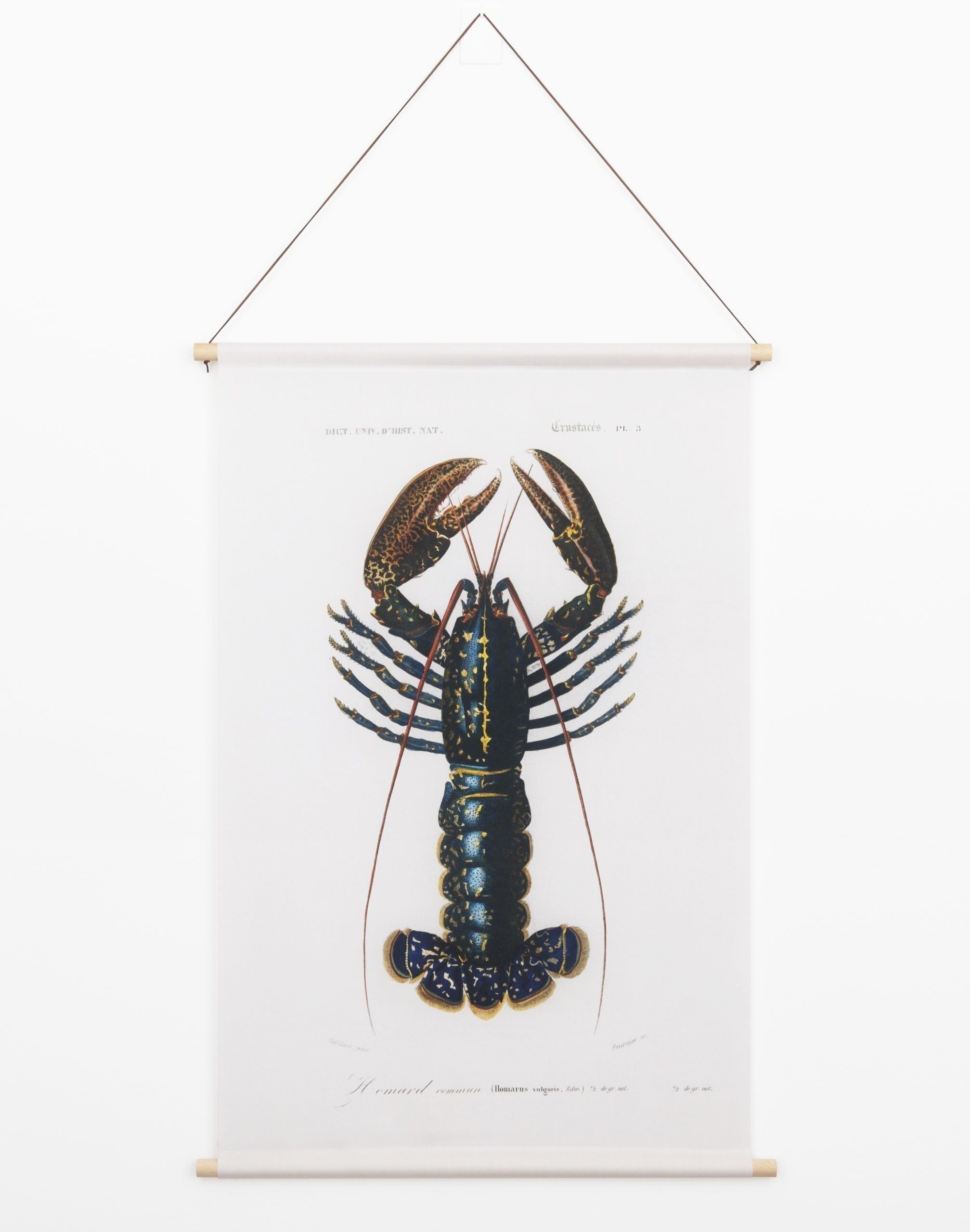Affiche textile Homard Vintage – Toile murale