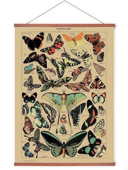 Poster in posterhanger - Vlinders